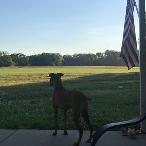 Meet your Posher, Kendall